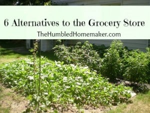6 Alternatives to the Grocery Store
