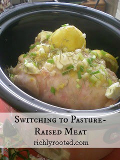 Switching to Pasture-Raised Meat - RichlyRooted.com