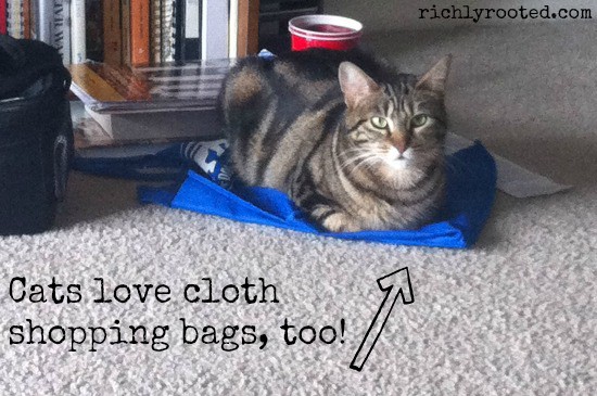 Cats Love Cloth Shopping Bags - RichlyRooted.com