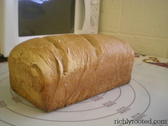 Sourdough Bread - RichlyRooted.com