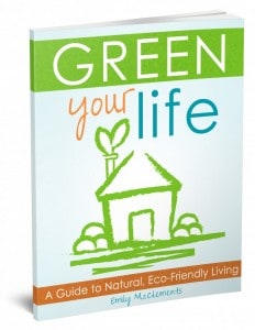 Green_Your_Life-3d_book_cover-e1381205200368