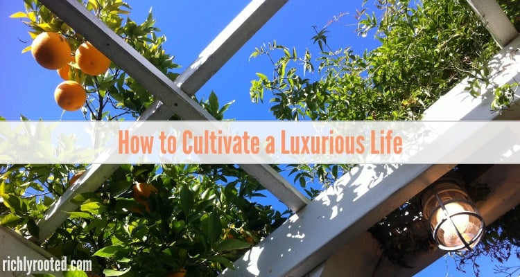Luxury isn't something you're born into or you buy. Here's how to cultivate luxury in your everyday life, regardless of your income!