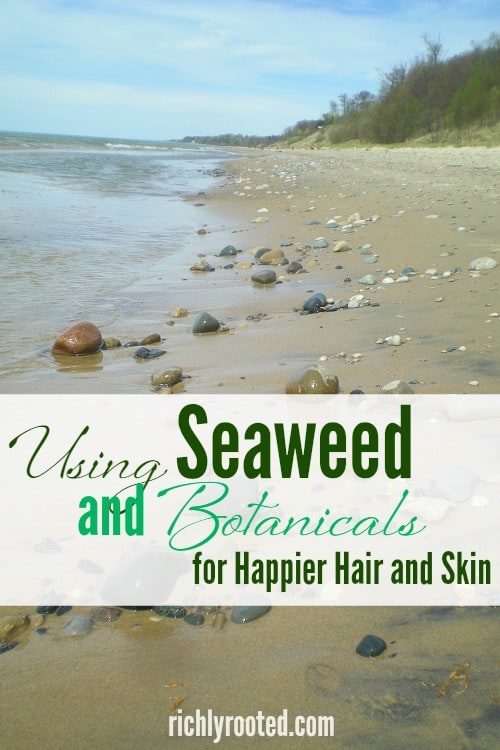 Frustrated by conventional shampoos? Ditch the chemicals and try natural seaweed and botanicals instead! Your hair will thank you.