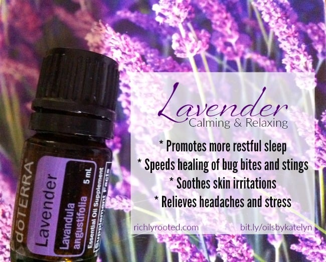 Here are just a few of the benefits of lavender essential oil--it's amazingly versatile and requires minimal dilution!