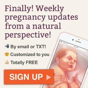 Natural weekly pregnancy updates