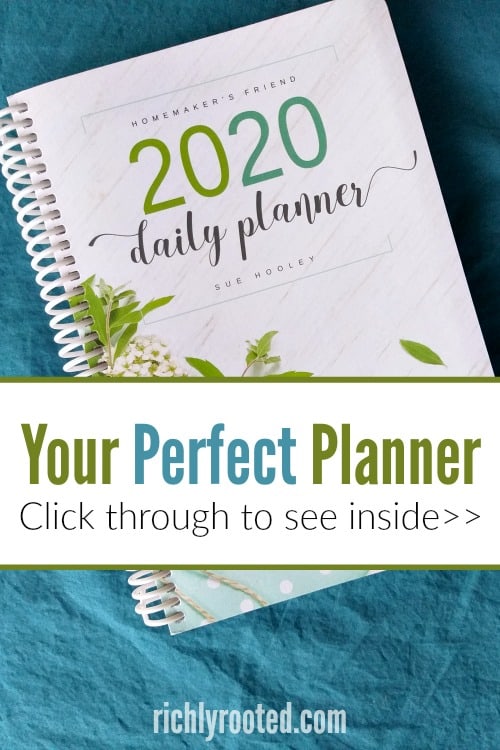 Blue and green spiral-bound daily planner