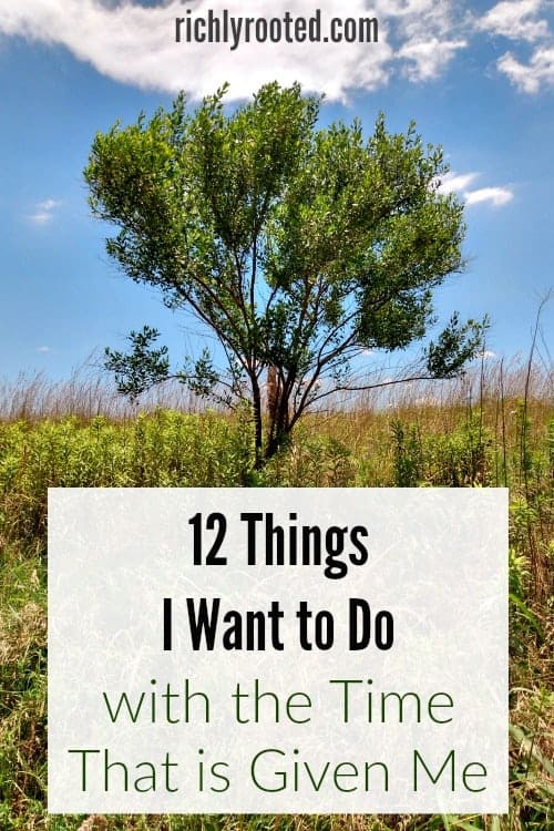 12 Things I Want to Do with the Time That is Given Me