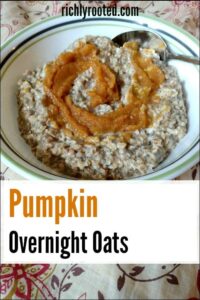 Overnight oats in a bowl with pumpkin puree swirled on top