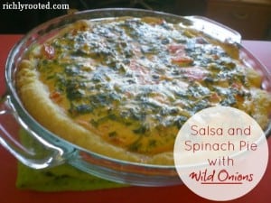 Salsa and Spinach Pie with Wild Onions