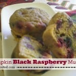 Pumpkin Black Raspberry Muffins - RichlyRooted.com