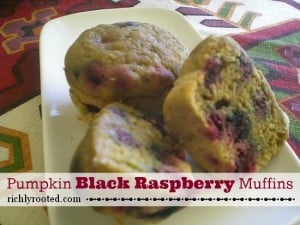 Pumpkin Black Raspberry Muffins