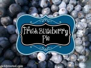 Fresh No-Bake Blueberry Pie