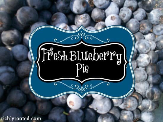Fresh Blueberry Pie - RichlyRooted.com