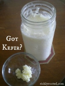 Got Kefir? (Why this Probiotic Beverage Is So Good for You!)