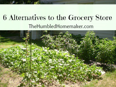 alternatives to the grocery store