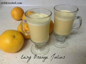 Easy Orange Julius Breakfast Drink