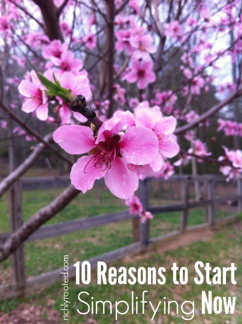 Simplify your stuff! Here are 10 great reasons why simple living is the way to go!