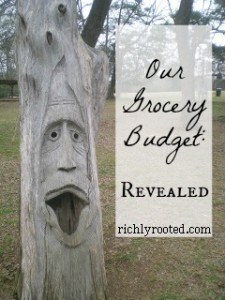 Revealed: Our Grocery Budget