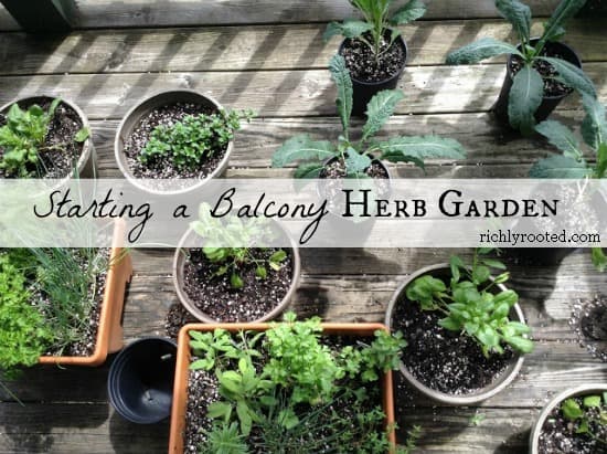 balcony herb garden