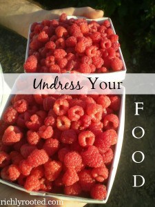 Undress Your Food