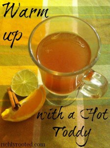 Warm Up with a Hot Toddy (Good for Colds and Flu!)