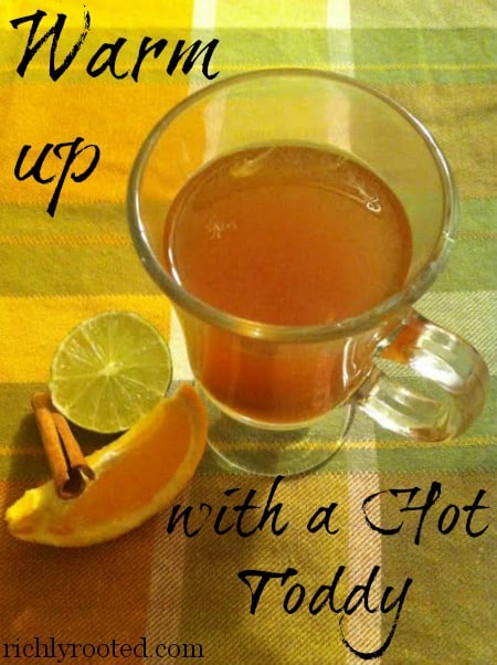 I love a hot toddy to warm up on a cold night! It's also a great natural remedy for colds and flu. This recipe includes orange and cinnamon...yum!