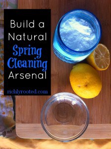 Build a Natural Spring Cleaning Arsenal - RichlyRooted.com