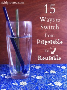 15 Ways to Switch from Disposable to Reusable - RichlyRooted.com