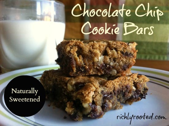 Chocolate Chip Cookie Bars - RichlyRooted.com