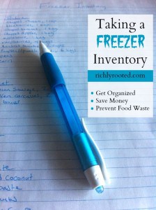 Taking a Freezer Inventory (Get Organized and Save Money!)