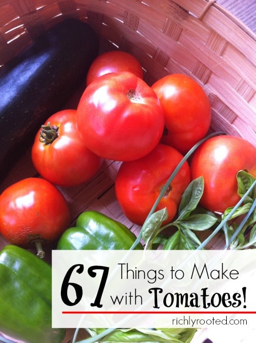This is for tomato lovers! 67 real food tomato recipes...I can't wait to try some of these!