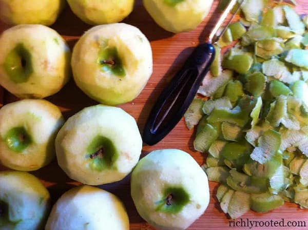Making Apple Pie - RichlyRooted.com