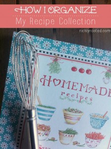 How I Organize My Recipe Collection