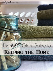 The Busy Girl’s Guide to Keeping the Home