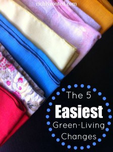 We've been making our home more green and eco-friendly, one step at a time. I think these 5 things are some of the easiest natural living changes you can make!