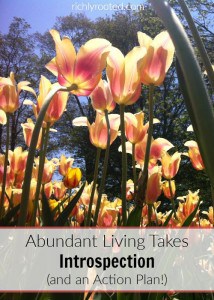 Abundant Living Takes Introspection (and an Action Plan!)