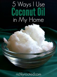 If you've seen coconut oil in the store but wondered what to do with it, let me share with you the 5 main uses I've found for this versatile oil.