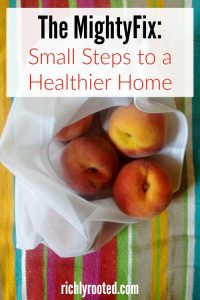 MightyFix: Small Steps to a Healthier Home