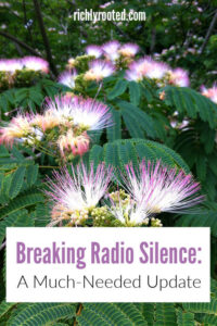 Mimosa tree with blooming pink flowers, with the text "Breaking Radio Silence: A Much-Needed Update" written on an overlay.